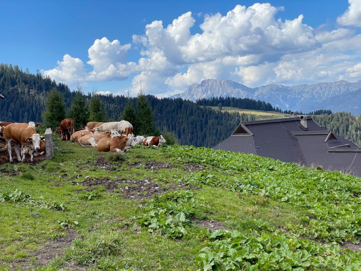The Mountain Home Hermagor-Pressegger See Bagian luar foto